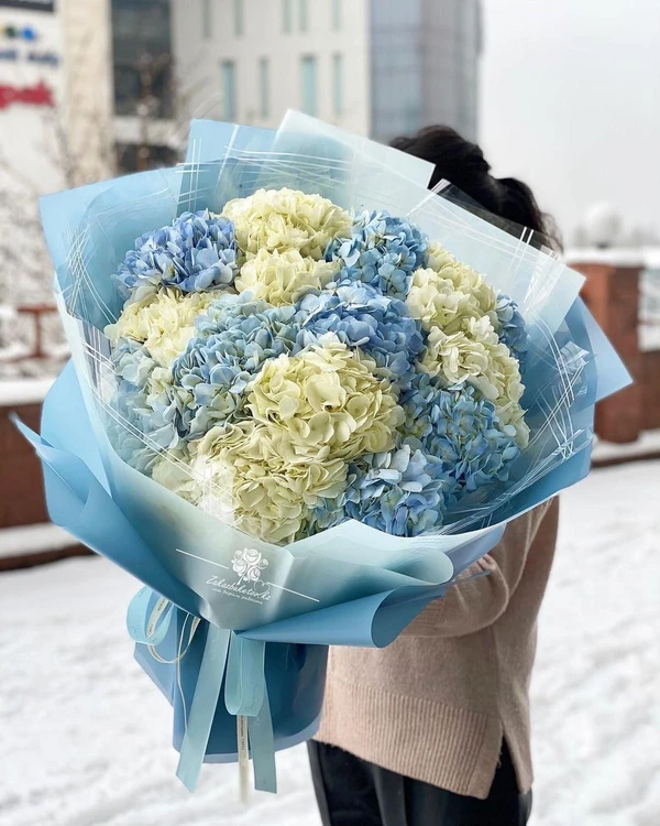 Букет из 15 гортензий